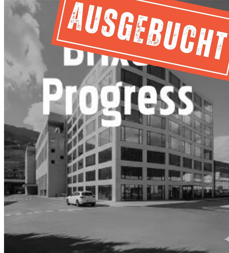 BRIXEN PROGRESS (Scratch)